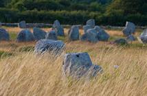 Les menhirs de Carnac