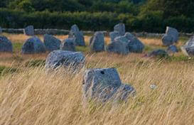 Les menhirs de Carnac
