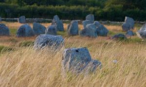 Les menhirs de Carnac